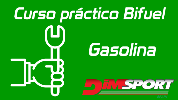 Curso Práctico Bifuel